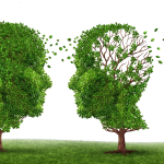 Conférence alzheimer